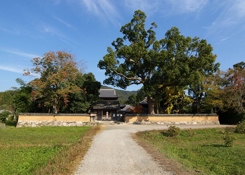 戒檀院全景