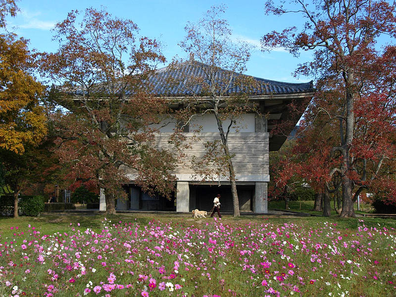 観世音寺の秋桜と宝蔵