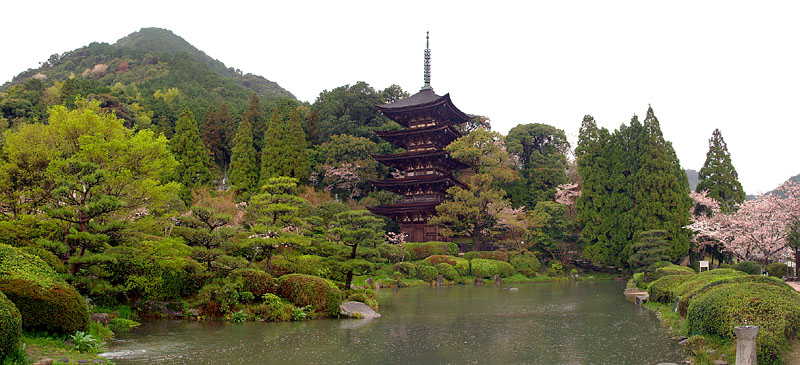 桜山を背景に春雨に煙る瑠璃光寺五重塔