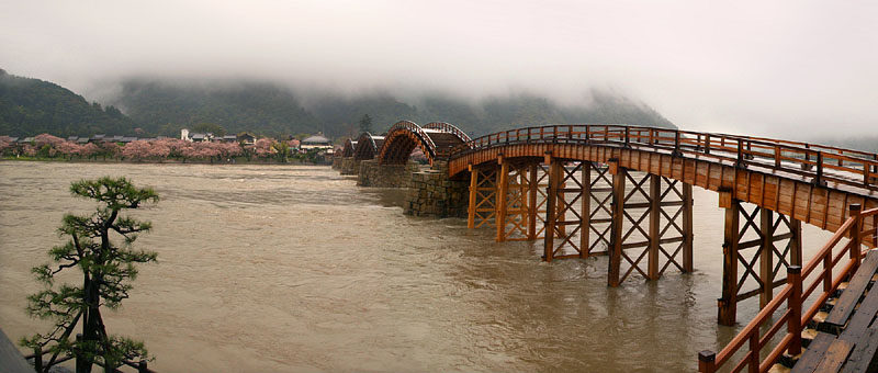 雨の錦帯橋