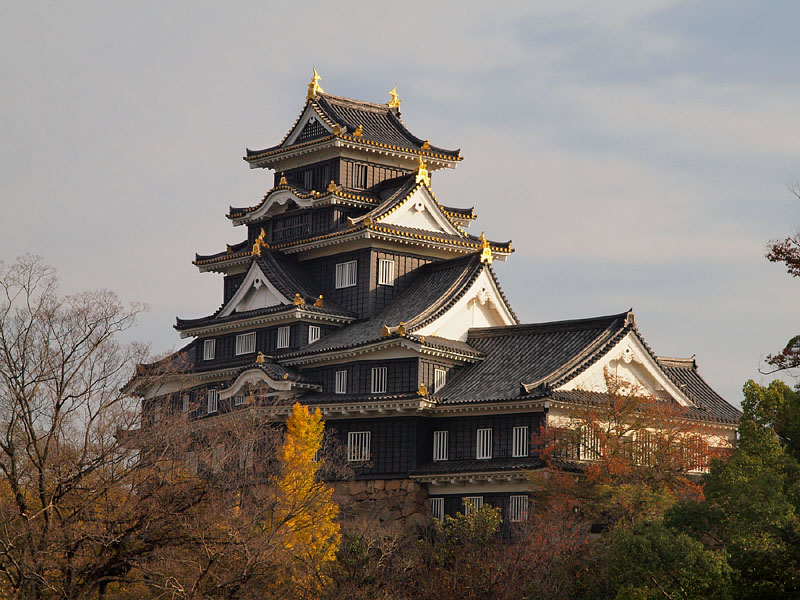 金鯱の岡山城(北西面)