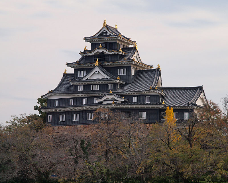 後楽園に向く岡山城(北面)