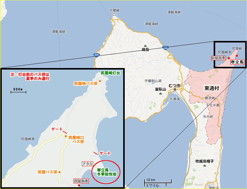 寒立馬の生息地/尻屋崎(青森県下北郡東通村)