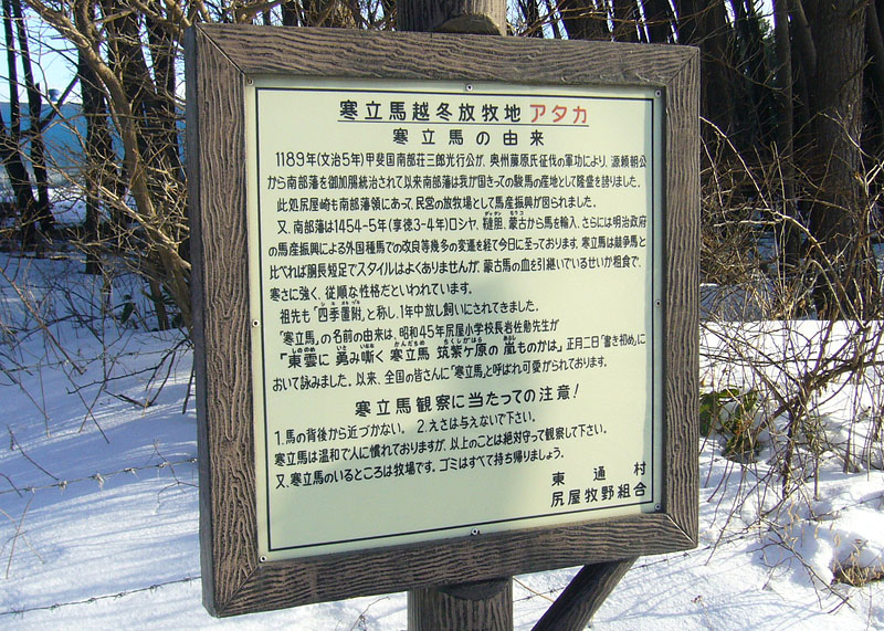 青森県下北半島の脇野沢村野猿公苑 2012.02.12 15:35