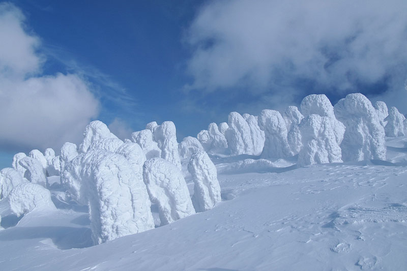 八甲田山の樹氷林 14:04