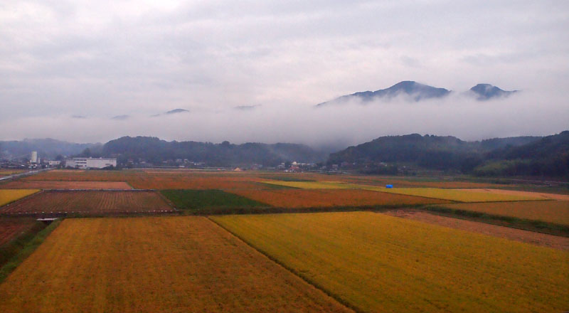 車窓から臨む秋の田園風景 / 熊本平野 08:53