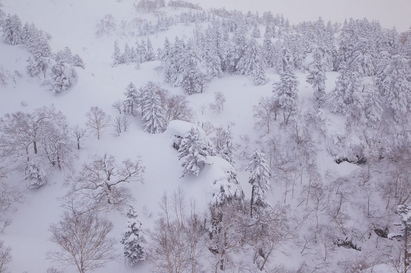 雪山・弐 / 十勝岳温泉 2009.2.4 14:57