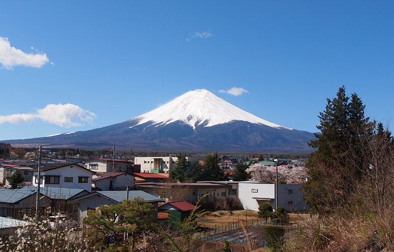 裾野を見せた富士山！
