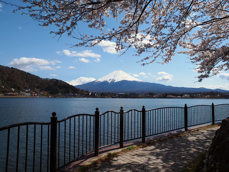 産屋ヶ崎の散策路