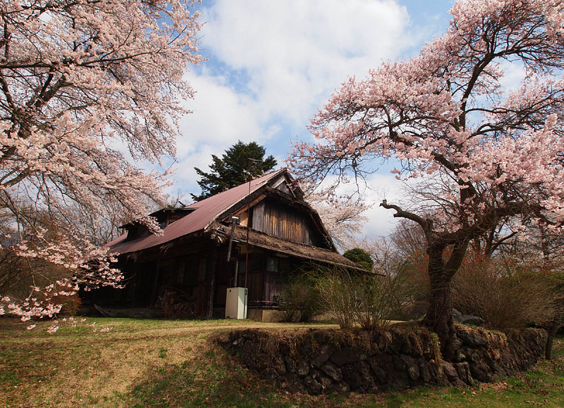 藁葺とトタン屋根の思昔庵