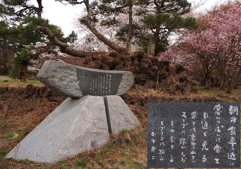 桜と田中冬二文学碑