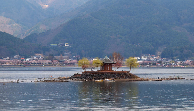 湖に浮かぶ六角堂と北岸の桜並木