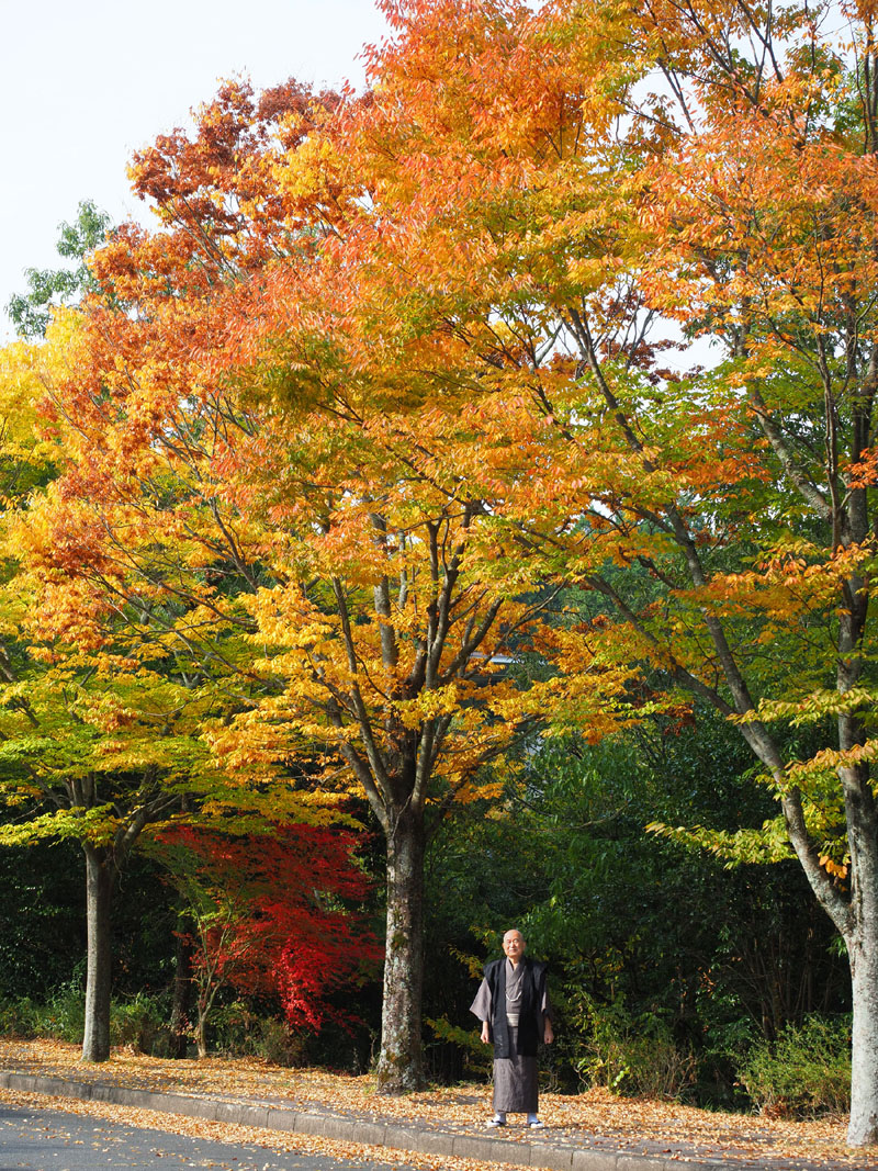 玄関前の紅葉の並木道と和田爺