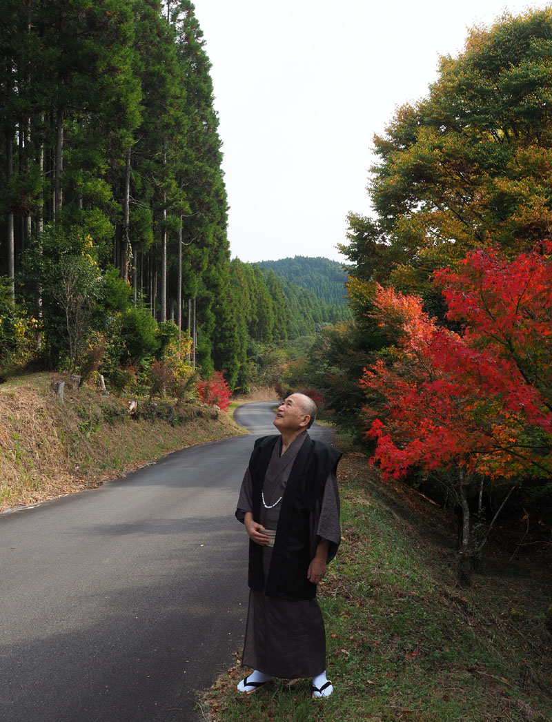 くつろぎの森の常緑樹林を見上げる和田爺