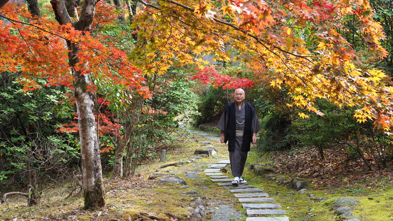 薄日の射す紅葉の杜の石畳を散策する和田爺