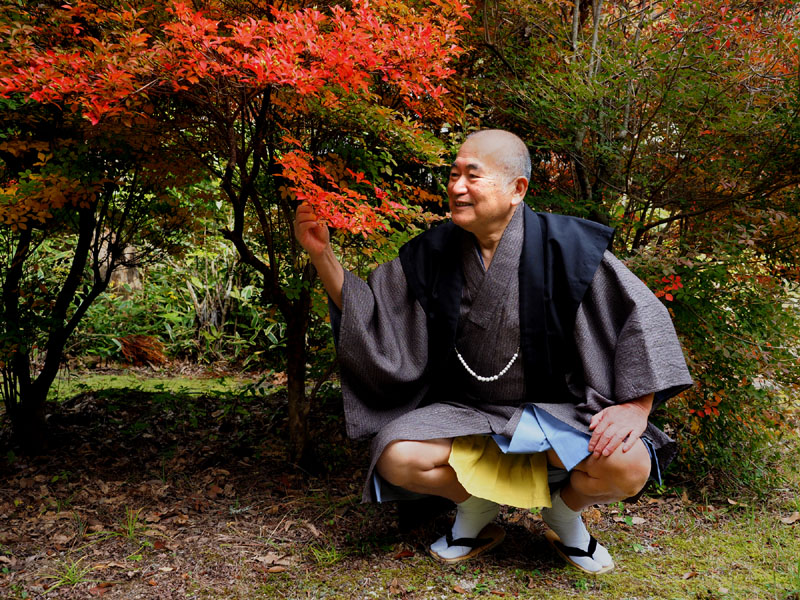 紅葉を愛でる和田爺