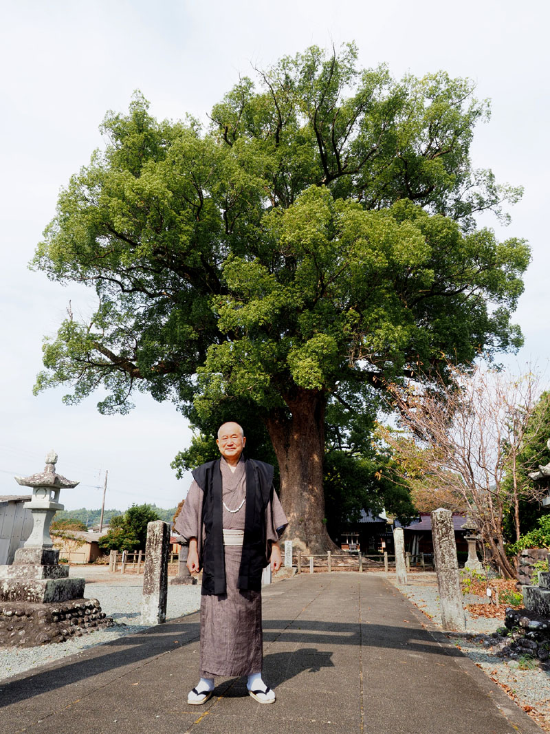 樹齢800年のクスノキと和田爺
