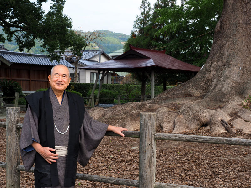 巨木のそばの立派な土俵と和田爺