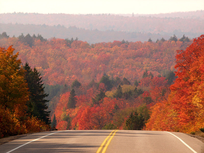 燃えるような紅葉のメープル街道