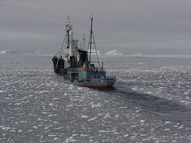氷海を行くキャッチャーボート