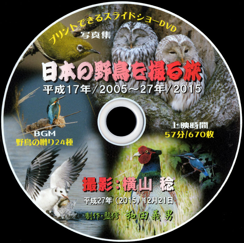 {̖쒹B闷DVD