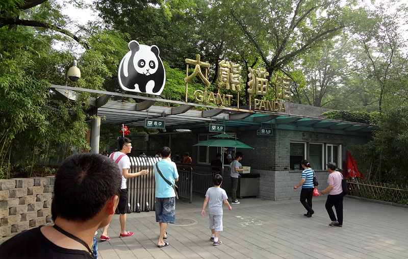 追加料金が必要な大熊猫館 08:05