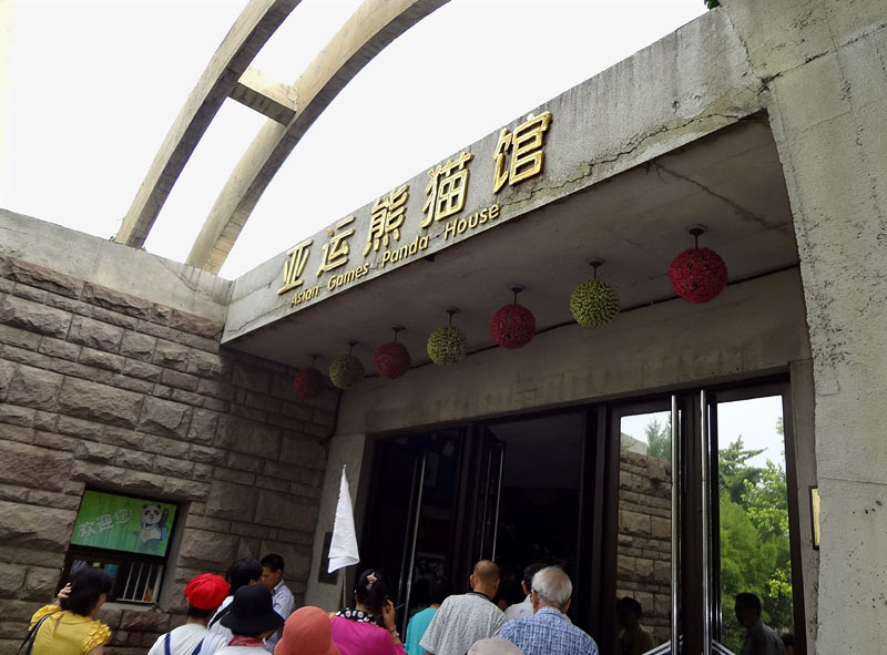 アジア大会パンダ館に入る 08:08
