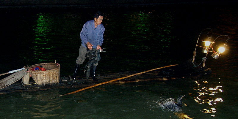 魚を飲み込んだ鵜の嘴の根元をつかむ