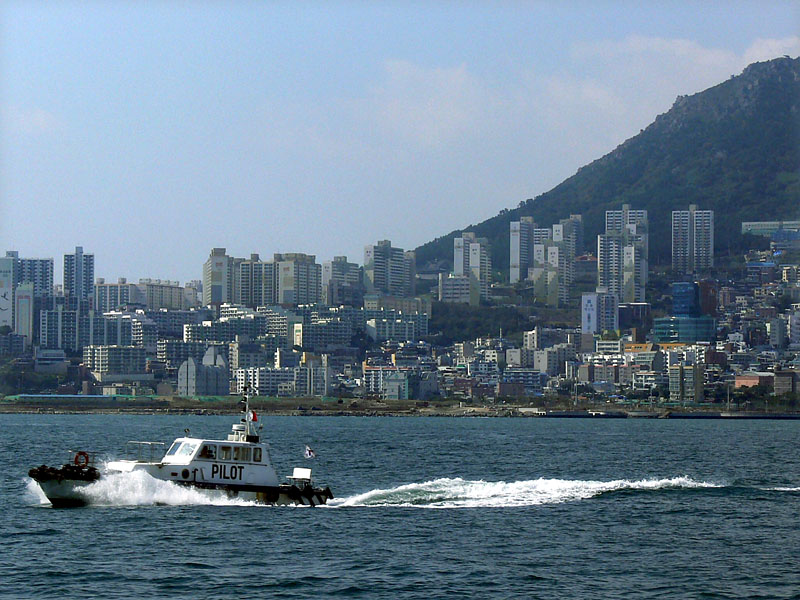 釜山港とパイロット・ボート