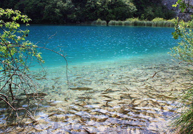 石灰華によるエメラルド・グリーンの湖水