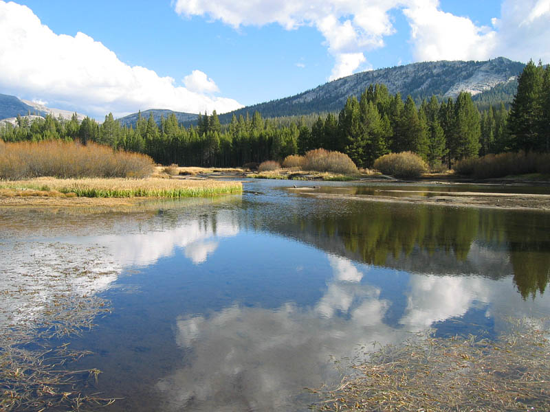 gDI~EhEYinj Tuolumne Meadows  їgDI~