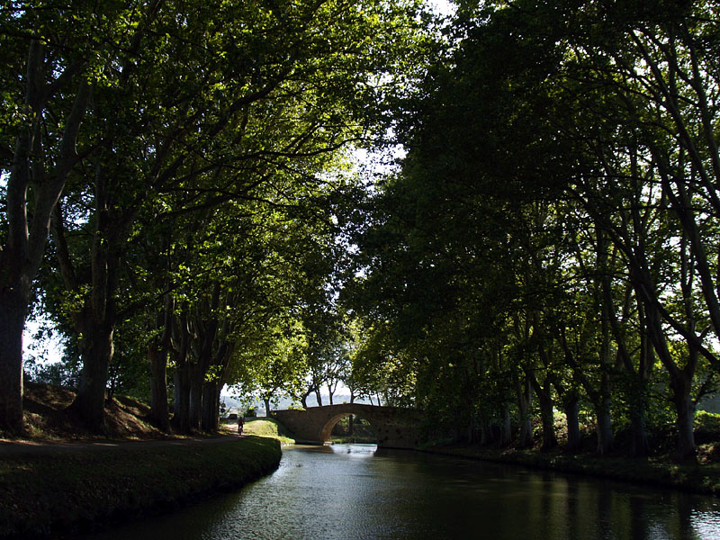 鬱蒼とした木々の間を流れるミディ運河