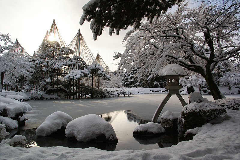 雪が積もった徽軫燈籠と唐崎松の雪吊 2010.1.16 08:25