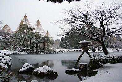 雪化粧した徽軫燈籠篭と唐崎松の雪吊 2009.12.19 08:26