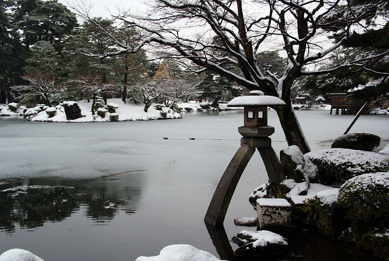 徽軫燈籠と冬鴨 2009.12.19 08:47