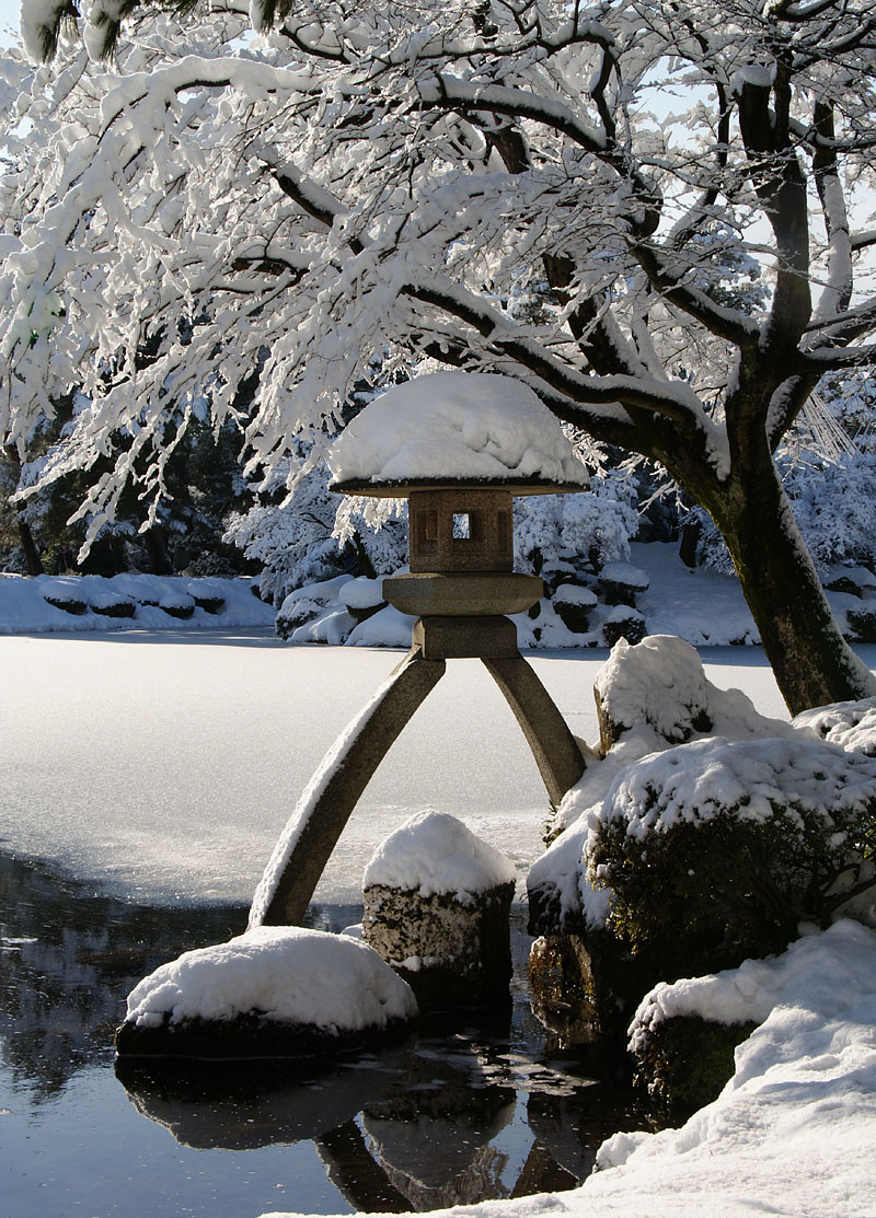 徽軫燈籠の綿帽子 2010.1.16 09:05