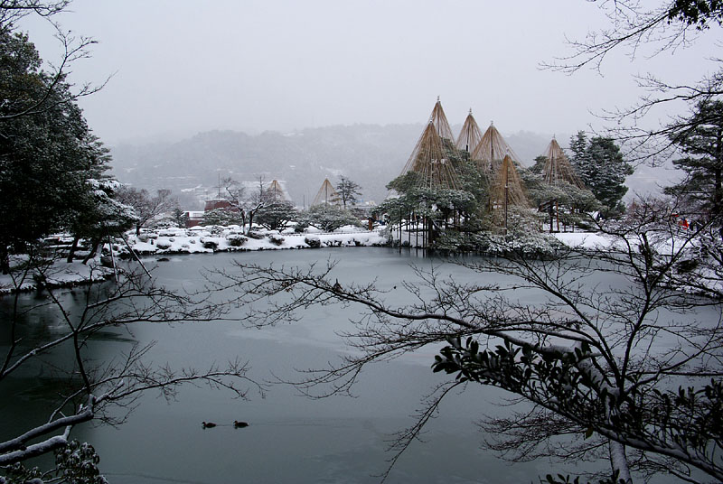 霞ヶ池の唐崎松 2009.12.19 08:40