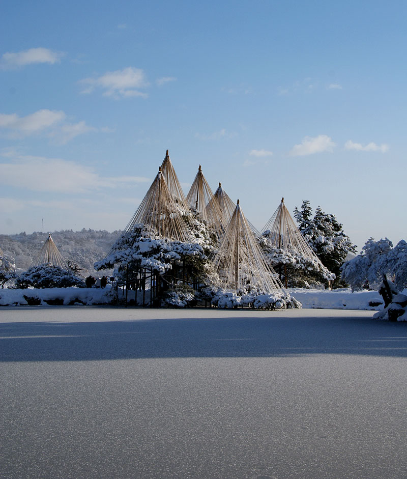 霞ヶ池の雪化粧 2010.1.16 08:51