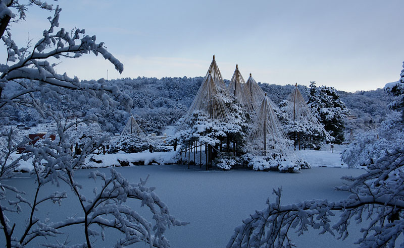兼六園の夜明け前 2010.1.16 08:40