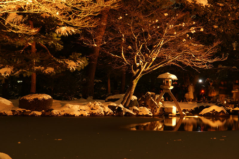 対岸から見た夜の徽軫燈籠 2010.2.06 18:45