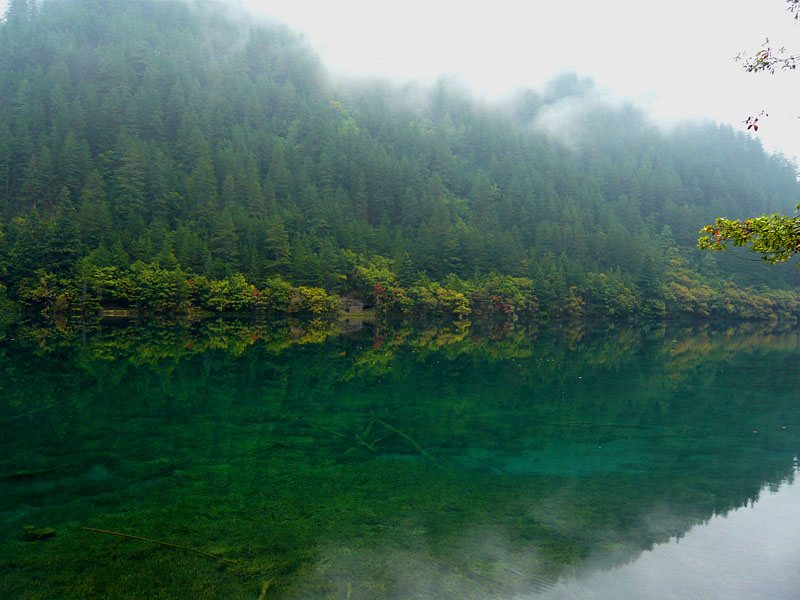 美しい緑の湖水/鏡海