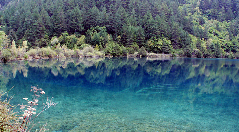 神秘的な犀牛海 Rhinoceros Lake