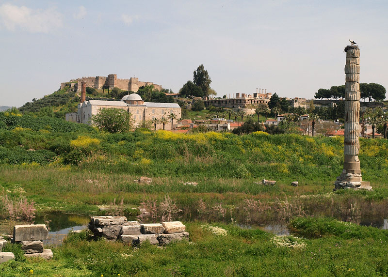 コウノトリの巣となったアルテミス神殿の遺跡