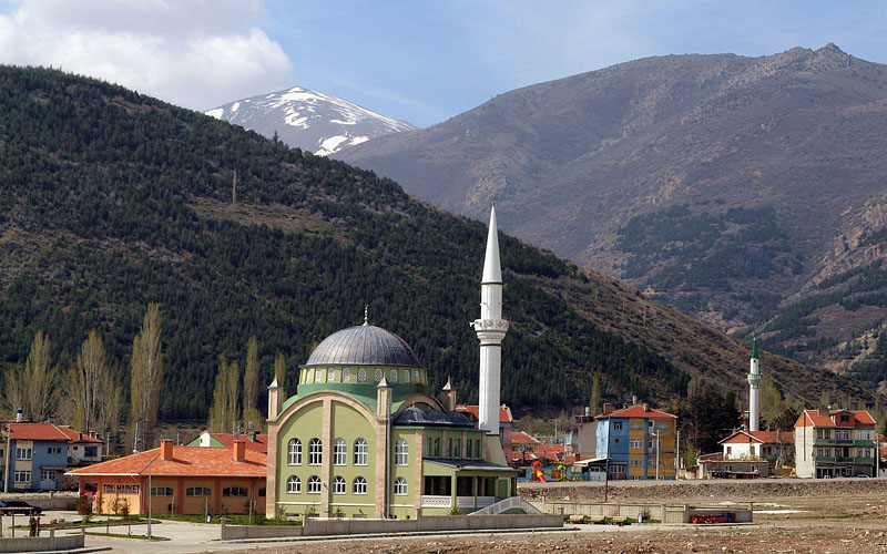 モスクのある山村　10:50