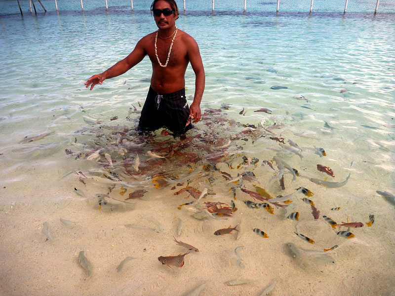 熱帯魚の餌付けをするタヒチの男