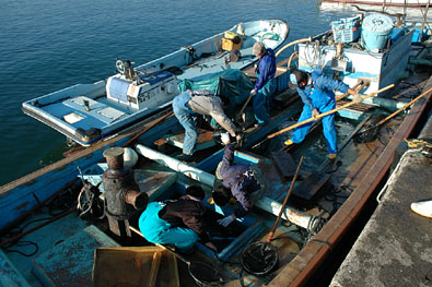 水揚げ中の漁師たち