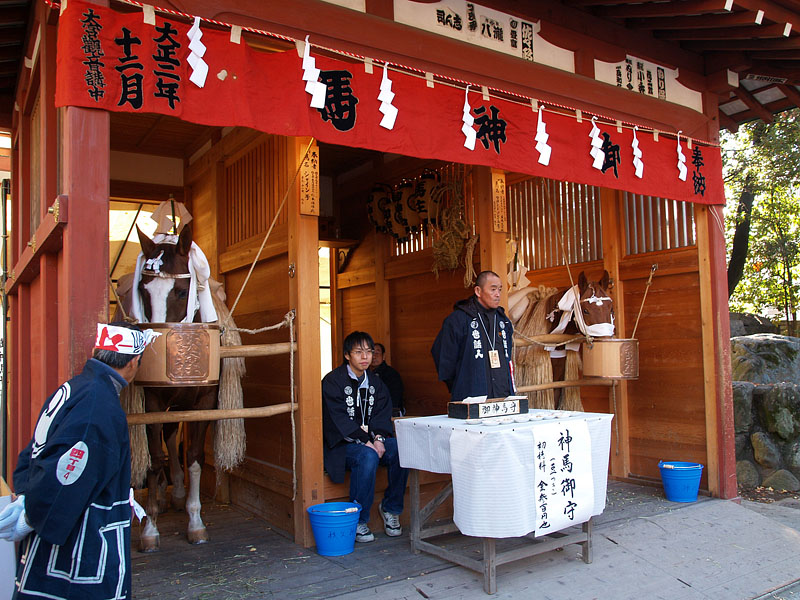御神馬マロンドソレイユ号(右)とシャイン号(左)