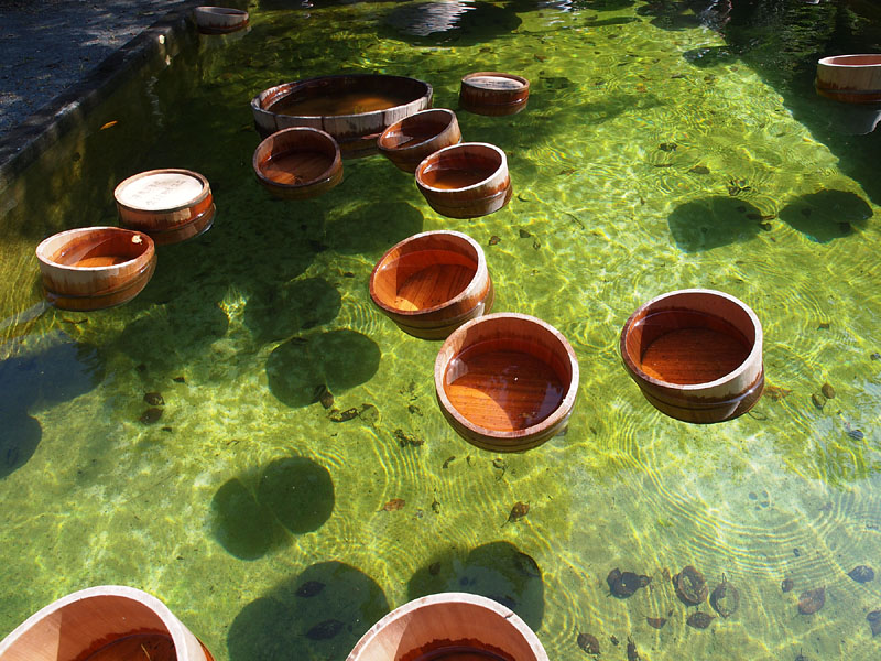水槽に浮かぶ桶