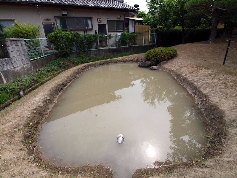津島神社南部の禊場