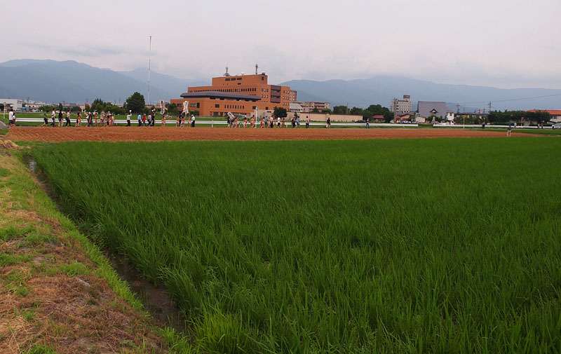田園地帯を行く 16:18